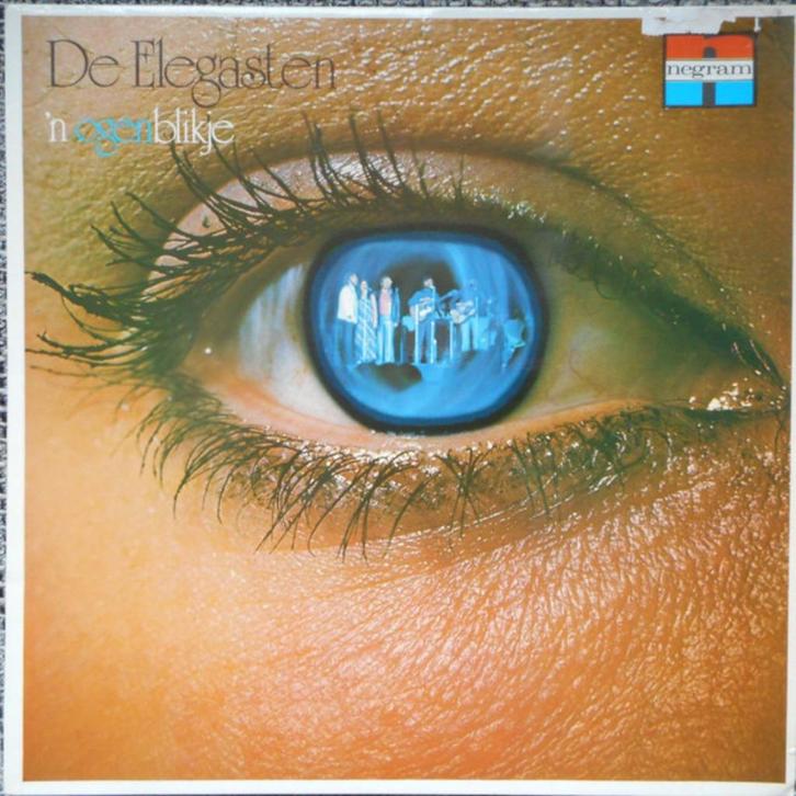 De Elegasten – 'n Ogenblikje, Cd's en Dvd's, Vinyl | Nederlandstalig, Gebruikt, Streekmuziek, 12 inch, Ophalen of Verzenden