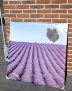 Tuinschilderij lavendelweide, Nieuw, Ophalen