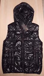 Jas dames bodywarmer met kap G.Q. Moda. Maat 40. NIEUW, Kleding | Dames, Maat 38/40 (M), G.Q. Moda, Verzenden, Zwart