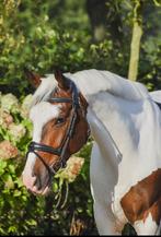 Leuke pony te koop VERKOCHT, Dieren en Toebehoren, Ruin