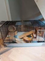 Luxe hamsterkooi, gerbils, cavia of dwergkonijn., Dieren en Toebehoren, Ophalen, Gebruikt, Kooi, Hamster