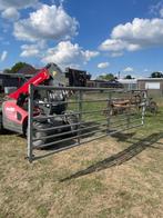 diverse weidehekkens - verschillende maten, Weidegang, 4 paarden of pony's of meer