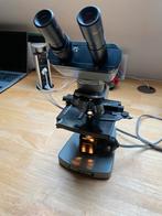 microscoop, diergeneeskunde en labo technieken, Audio, Tv en Foto, Optische apparatuur | Microscopen, Ophalen, Gebruikt, Minder dan 400x