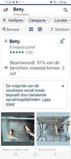Vogels, Dieren en Toebehoren
