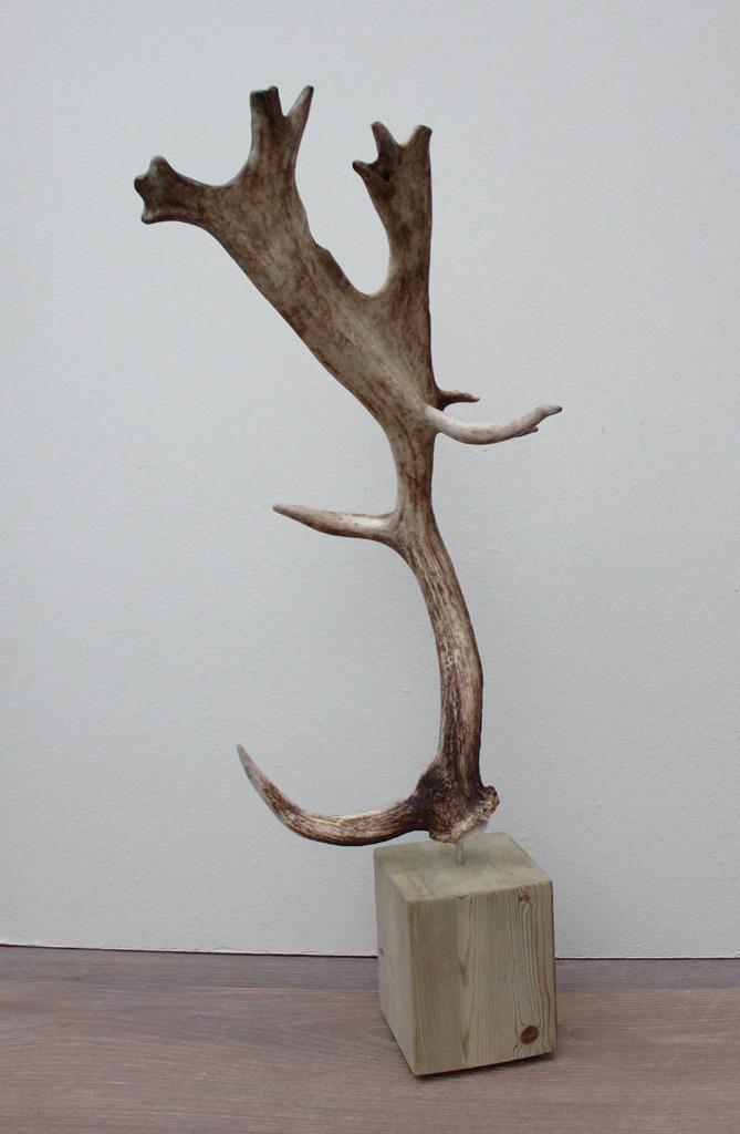 Groot DAMHERT GEWEI op houten sokkel (ref. B), Verzamelen, Dierenverzamelingen, Nieuw, Gewei of Kop, Hert, Ophalen of Verzenden