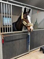 Privé paardenstalling, Dieren en Toebehoren, Stalling en Weidegang, Stalling