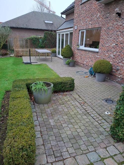 30 m² betonklinkers gratis op te halen, Doe-het-zelf en Bouw, Metselstenen, Gebruikt, Overige typen, Ophalen