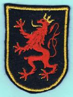 Belgian Air Force Sleeve Insignia ( MS81 ), Embleem of Badge, Luchtmacht, Ophalen of Verzenden