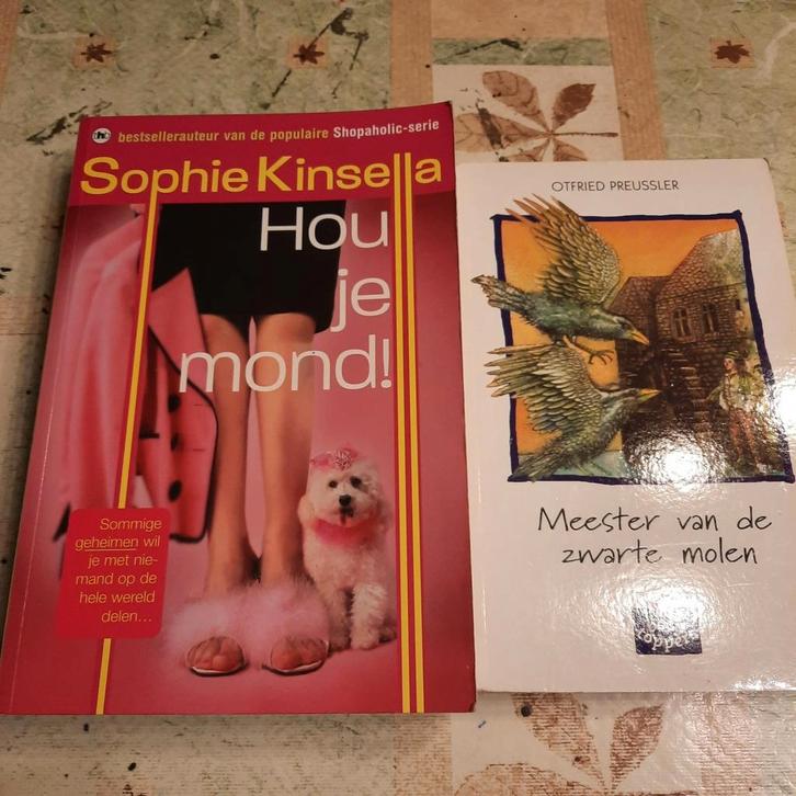 Sophie kinsella.bruidsmeisje.lisy.sybil en andere, Boeken, Romans, Ophalen