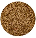 Vijver/Koivoer Wheatgerm voor winter en voorjaar. ACTIE!, Tuin en Terras, Vijver-toebehoren, Ophalen of Verzenden, Nieuw, Overige typen