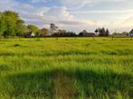 paardenweide Deinze (weide 1 hectare) te huur, Dieren en Toebehoren, Stalling en Weidegang, Weidegang