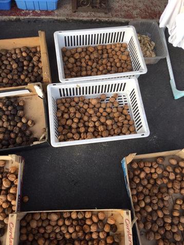 NOIX beschikbaar voor biedingen