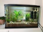 Aquarium 30l zwart met filter en licht, Animaux & Accessoires, Comme neuf, Enlèvement