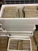 Steenstrips domus lena M50, Doe-het-zelf en Bouw, Ophalen of Verzenden, Nieuw