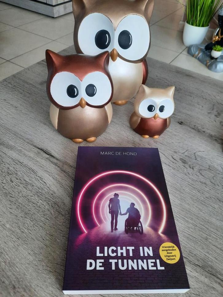 Marc de Hond - Licht in de tunnel, Boeken, Overige Boeken, Nieuw, Ophalen of Verzenden