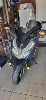 Honda forza 300cc bij 2019, Particulier