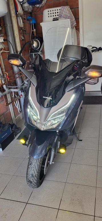 Honda forza 300cc bij 2019 beschikbaar voor biedingen