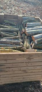 Droog brandhout, Tuin en Terras, Brandhout, Ophalen