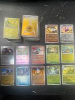 Lot Black & white (bulk + hits) + GRATIS BINDERS, Ophalen, Zo goed als nieuw