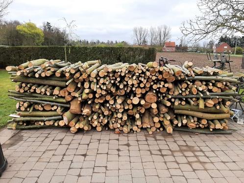 Brandhout, Tuin en Terras, Brandhout, Ophalen