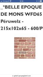 Recherche brique belle époque de Mons, Doe-het-zelf en Bouw, Ophalen of Verzenden, Bakstenen