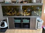 2 Meter Aquarium met bijhorende kast., Dieren en Toebehoren, Vissen | Aquaria en Toebehoren, Ophalen, Gebruikt, Leeg aquarium