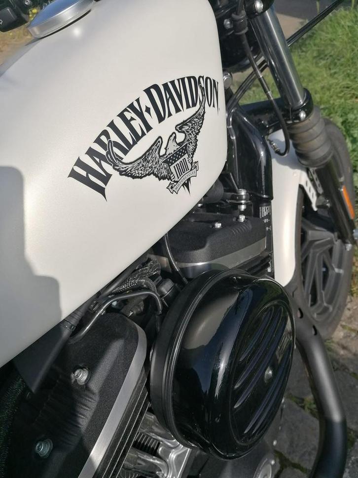 Harley Davidson SPORTSTER XL883N Iron, Motoren, Motoren | Harley-Davidson, Particulier, Chopper, 12 t/m 35 kW, 2 cilinders, Motorrijbewijs A