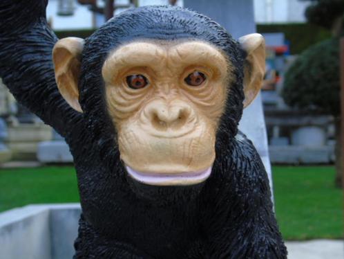 Standbeeld van een chimpansee om op te hangen, perfecte imit, Tuin en Terras, Tuinbeelden, Nieuw, Dierenbeeld, Kunststof, Ophalen
