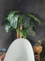 prachtige kunstmatige bananenplant, Ophalen