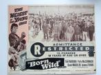 Born Wild - Original lobby card 1968, Gebruikt, Rechthoekig Liggend, Ophalen of Verzenden, A1 t/m A3