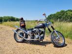 Hardtail shovelhead chopper, Motos, Motos | Harley-Davidson, Particulier, 2 cylindres, Chopper