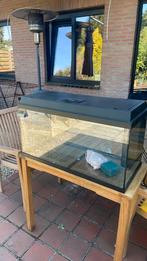 Juwel 100 liter aquarium!, Dieren en Toebehoren, Vissen | Aquaria en Toebehoren, Ophalen, Zo goed als nieuw