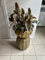Bloempotten 2-delig, Ophalen, Tuin, Minder dan 60 cm, Nieuw