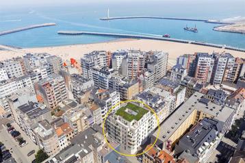 Handelspand te koop in Oostende, Overige soorten
