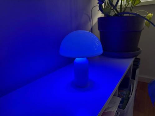 Lampe champignon en édition limitée "Mushroom Groove" – colo, Elektronische apparatuur, Onderdelen en Toebehoren, Nieuw, Verzenden
