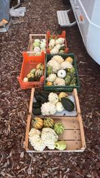 Zelf gekweekt sierfruit /€1 per stuk en €2 per drie stuks, Ophalen, Eenjarig, Overige soorten