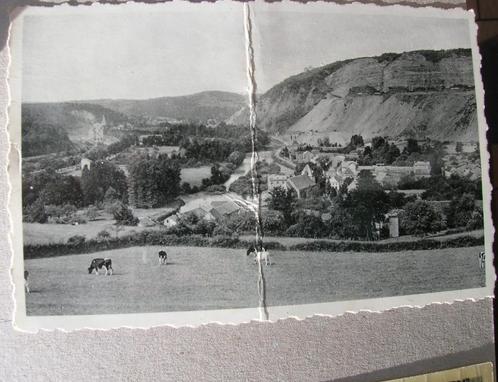 Panorama van REMOUCHAMPS, Verzamelen, Postkaarten | België, Ongelopen, Luik, Ophalen of Verzenden
