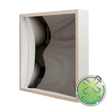 Lachspiegel 50x50cm vierkant beschikbaar voor biedingen