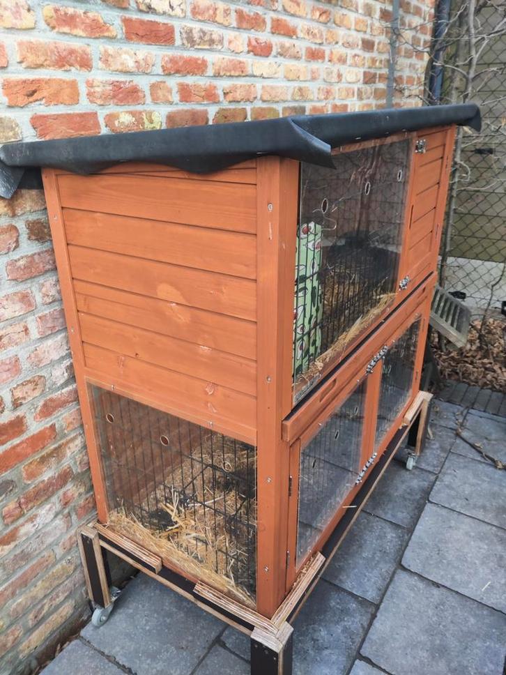 Cavia/dwergkonijn hok duplex, Dieren en Toebehoren, Knaagdieren en Konijnen | Hokken en Kooien, Hok, Cavia, Ophalen