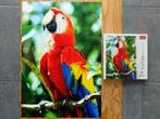 Puzzle 1000 pièces Trefl - Ara rouge, Honduras, Hobby & Loisirs créatifs, Sport cérébral & Puzzles, Enlèvement ou Envoi, 500 à 1500 pièces