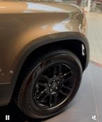 Defender 19” 5 dubbelspaaks velgen zwart, Ophalen, Velg(en)