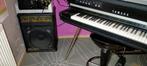 Ampli carlsbro cobra 90 keyboard TBE, Muziek en Instrumenten, Ophalen, Gebruikt, Monitor(versterker)