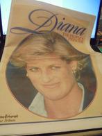 Diana the people's princess, Verzamelen, Ophalen of Verzenden, Gebruikt, Overige typen