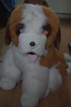 Grote knuffel van St. Bernard, Kinderen en Baby's, Speelgoed | Knuffels en Pluche, Ophalen of Verzenden, Gebruikt, Overige typen