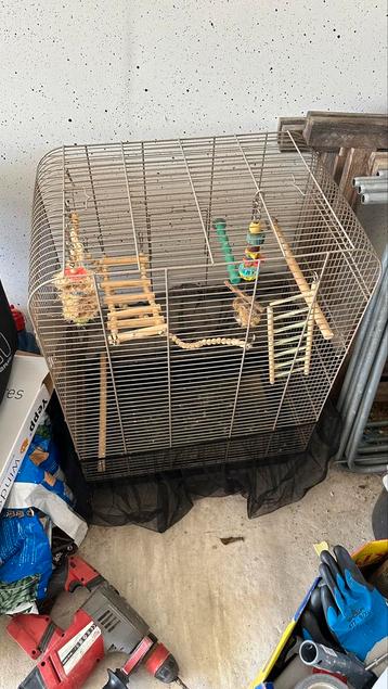 Vogelkooi beschikbaar voor biedingen