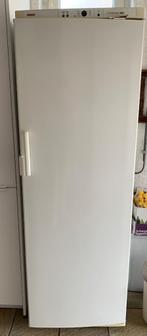 À vendre congelateur, Elektronische apparatuur, Vriezers en Diepvrieskisten, Ophalen, Zo goed als nieuw, Vrieskast