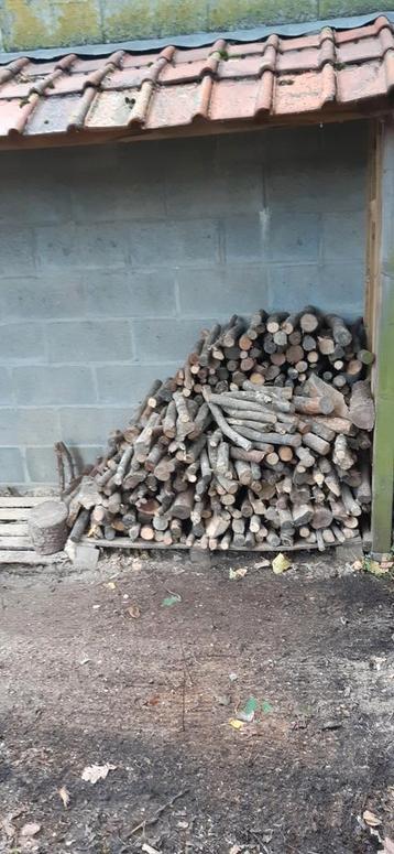 Droog brandhout (eik en berk) beschikbaar voor biedingen