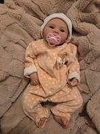 Rebor nieuw, Enlèvement ou Envoi