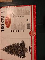 Kerstboom, Hobby en Vrije tijd, Ophalen