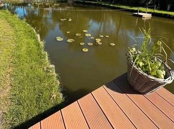 Vissen gezocht voor grote natuurvijver 1400m², Dieren en Toebehoren